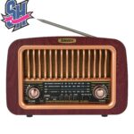 رادیو ساووی مدل SV-1220BT