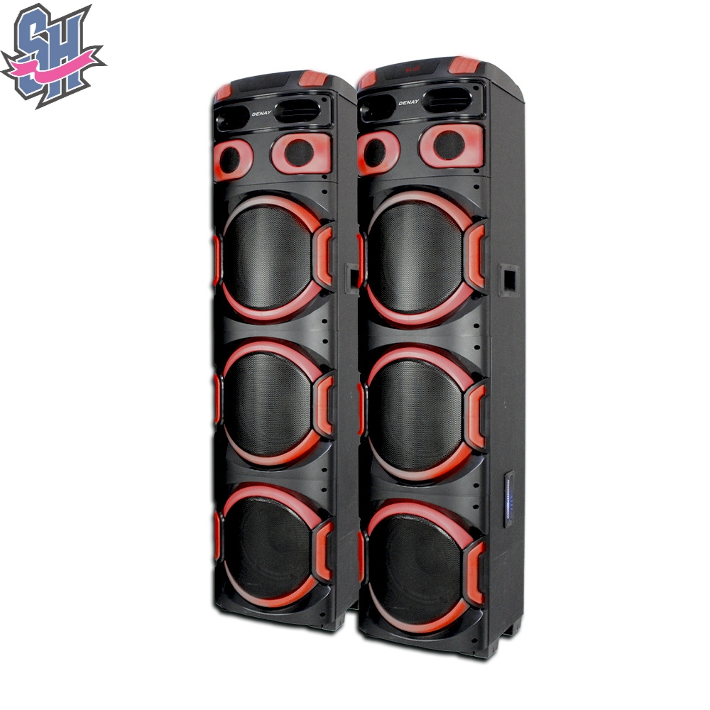 Photo_1735569307203.jpg اسپیکر دیجی دار دنای مدل WB 3010 DJ6 RWS - تصویر 1